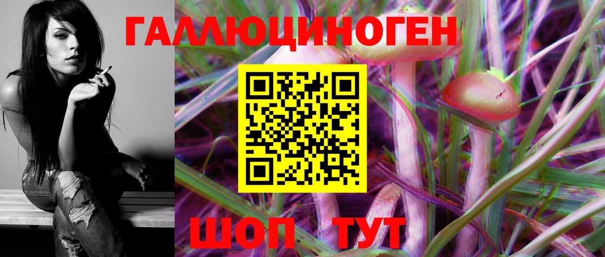 Галлюциногенные грибы MAGIC MUSHROOMS  Вход с VPN  Севастополь 