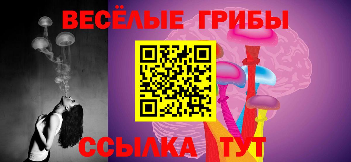 Псилоцибиновые грибы прущие грибы Севастополь